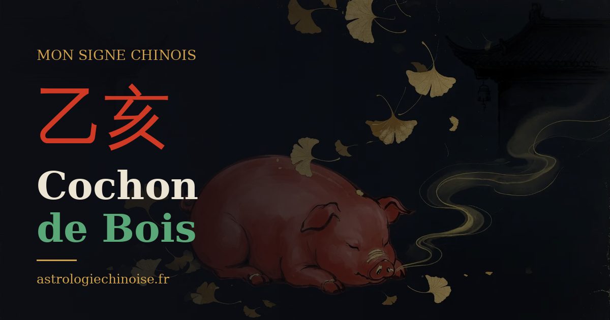 Carte de partage : Cochon de Bois, pilier 乙亥